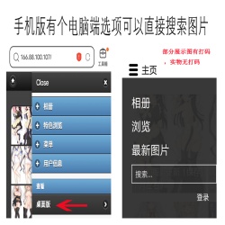 000000手机版有个电脑端选项可以直接搜索图片